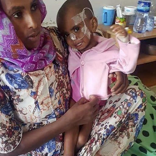 Babies in Tigray dying at 4 times pre-war levels, study says